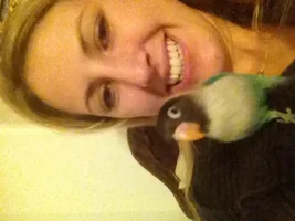 Why has my lovebird started being aggressive?