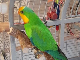 First Post - New Member from England