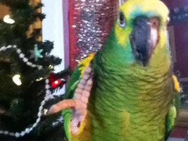 December POTM Contest