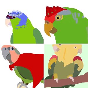 Drawings