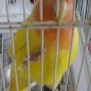 Al_96789