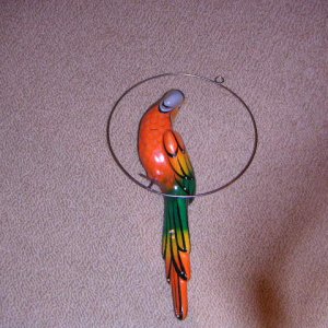 parrot001