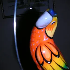 parrot002