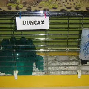 Duncan