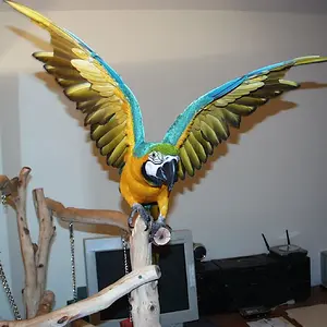 About 2 years old now