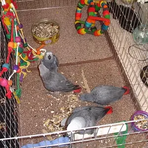 DSC01613