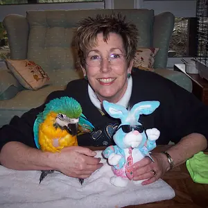 Elena And Tiko - B&g Macaw 3 Mo. Old