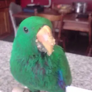 Jack