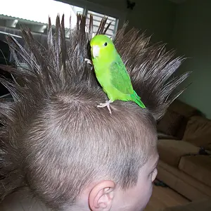Katie The Hairdresser