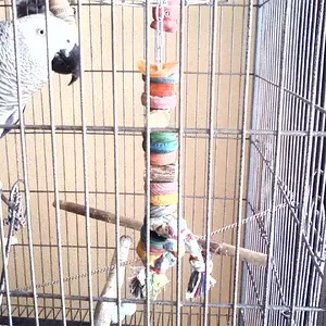 Mishka's Christmas Present
