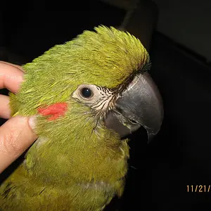 Img 1593