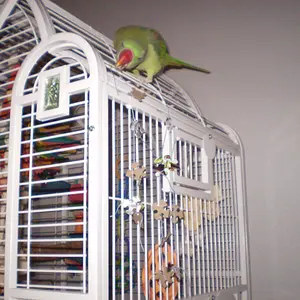 Max's New Puzzle Toy