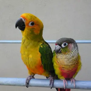 Img00003