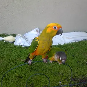 Img00036