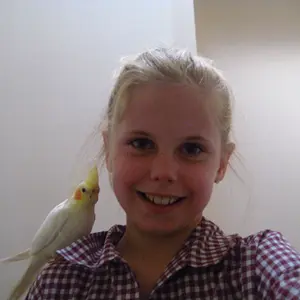 Buzza My Bird