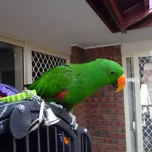 Hello There!