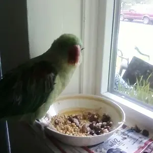 Rice And Beans