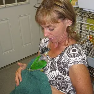 Say Mommy, Where Are Your Feathers?!