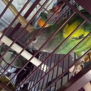2010 10 04 10 01 41 728