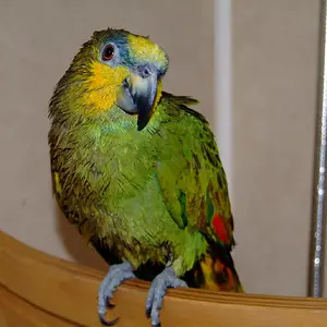 Are You Pointing That Camera At Me!!!!!