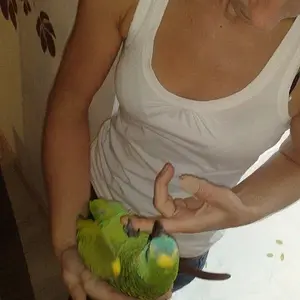 My 6 Months Old Amazon& My Wife Playing