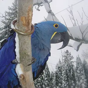 Winters Coming!!!!!!!!!!!!!