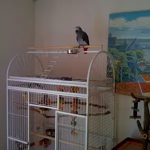 Gertjie's New Cage!