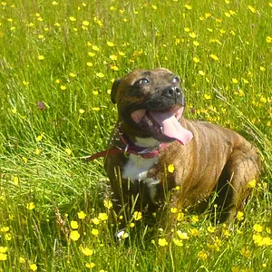 Beau Loving The Great Out Doors
