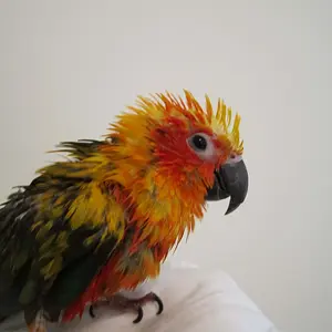 Img 0151