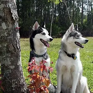 Skylar And Kira