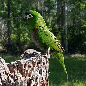 Savannah Outside