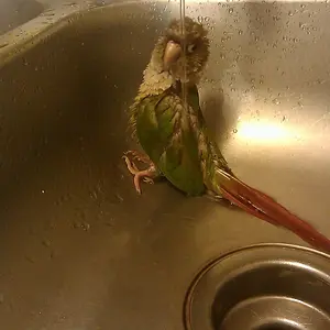 Bath Time!