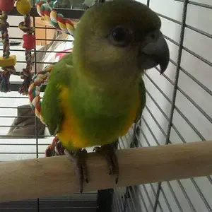 My Baby :)