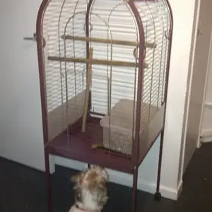 New(ish) Parrot Cage