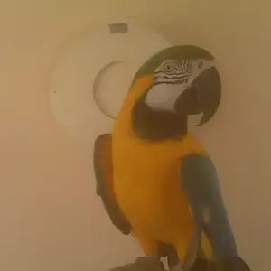 Dancer