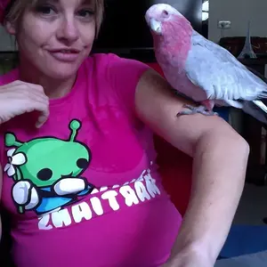Chewing On My Chair 