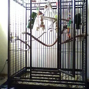 dexter_s_enclosure.jpg