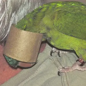 Sweet Pea Found Something