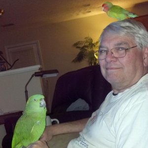 Dad And Birds