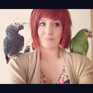 Ben The African Grey
