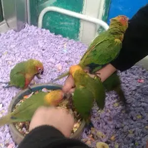 Everyone Wanted A Ride