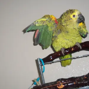 My Angels