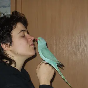 Me And Alex