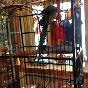 Another Photo Of Jack