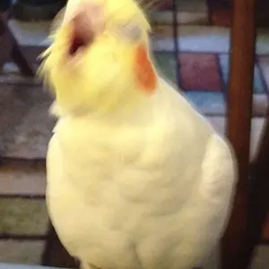 *yawn*