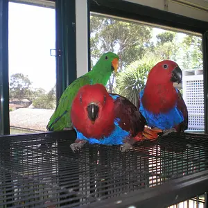 birds_026.jpg