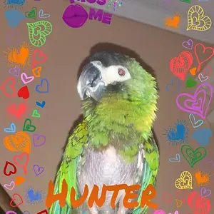 picsart_1364582161057.jpg