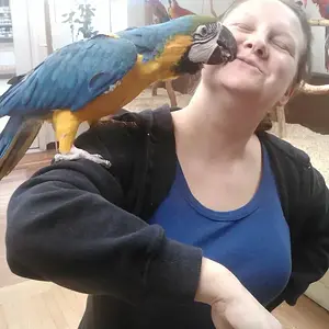 Lucy Giving Kisses