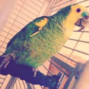 Max !