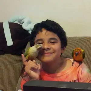 Conures=love